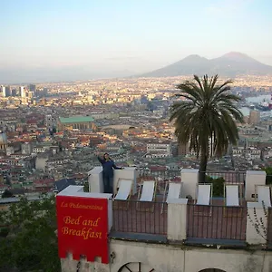 Pedamentina Neapol